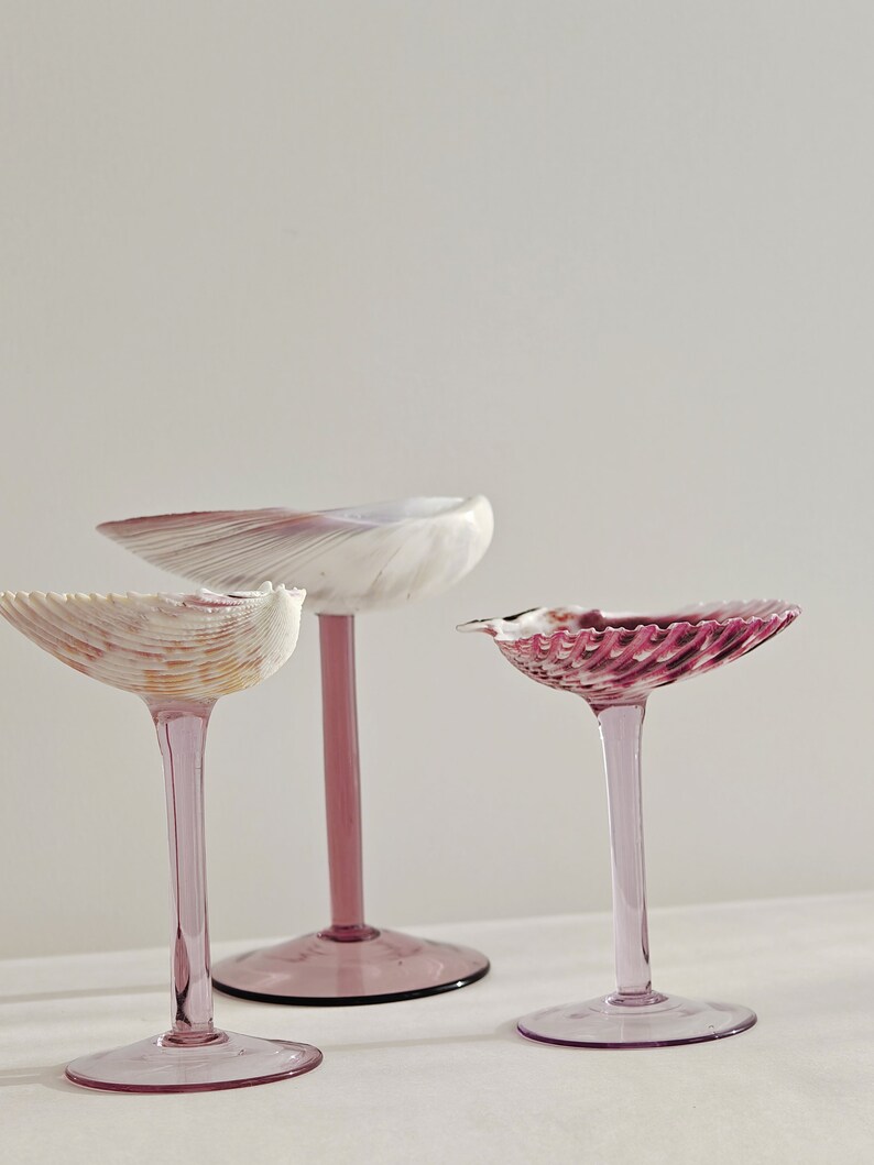 Set of 5 Coupe Glasses Set Most Popular Bridesmaids Gifts The Hottest Beach Wedding Gifts Beach Seashell Martini Glasses Gift For Her 1 pcs (random)