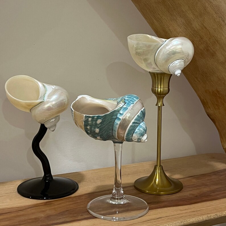 Seashell Wine Glasses Seashell Martini Glasses Birthday Etsy