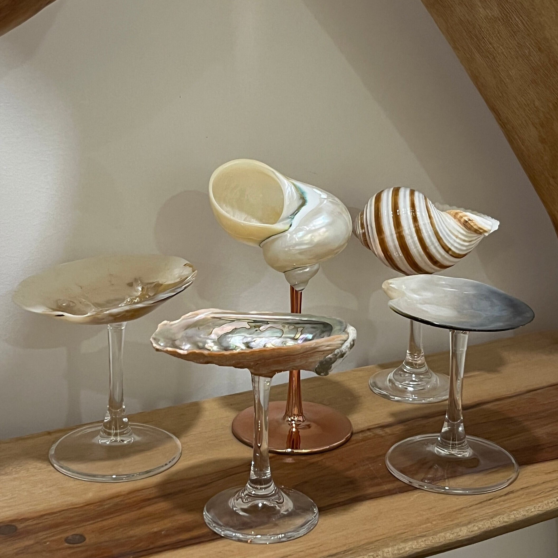 Sea Shell Glass off-white, Decorative Sea Shell Wine Glass, Tableware  Seashell Set, Unique Seashell Stemware for Sale Australia