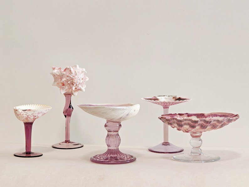 Set of 5 Coupe Glasses Set The Hottest Beach Wedding Gifts Most Popular Bridesmaids Gift Beach Seashell Martini Glasses Gifts For Her 5 pcs (1 set)