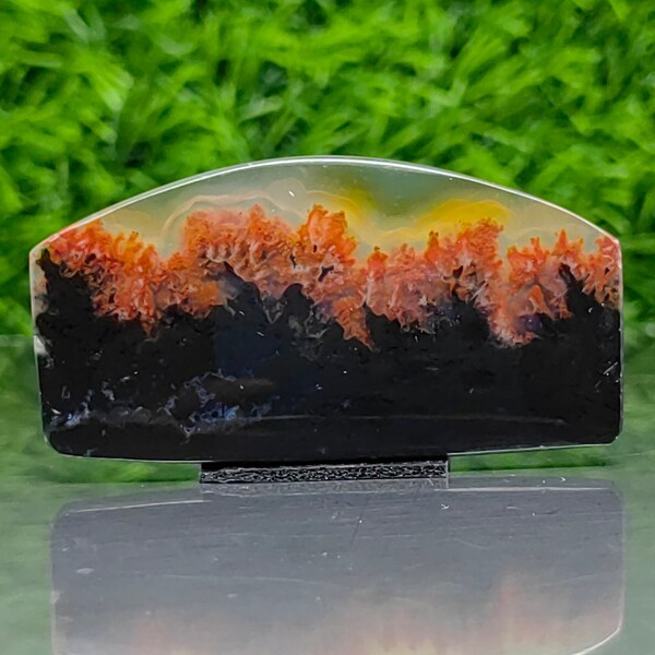 beautiful petrified wood scenic,plume agate,valve chalsedony,size 50x26x4 mm ,handycraft gift