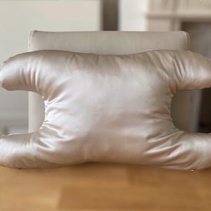 Mulberry Silk Pillow 22 Momme Champagne/Beige Anti Wrinkle Sleep Beauty Pillow Lash Friendly Skin and Hair Friendly Handmade