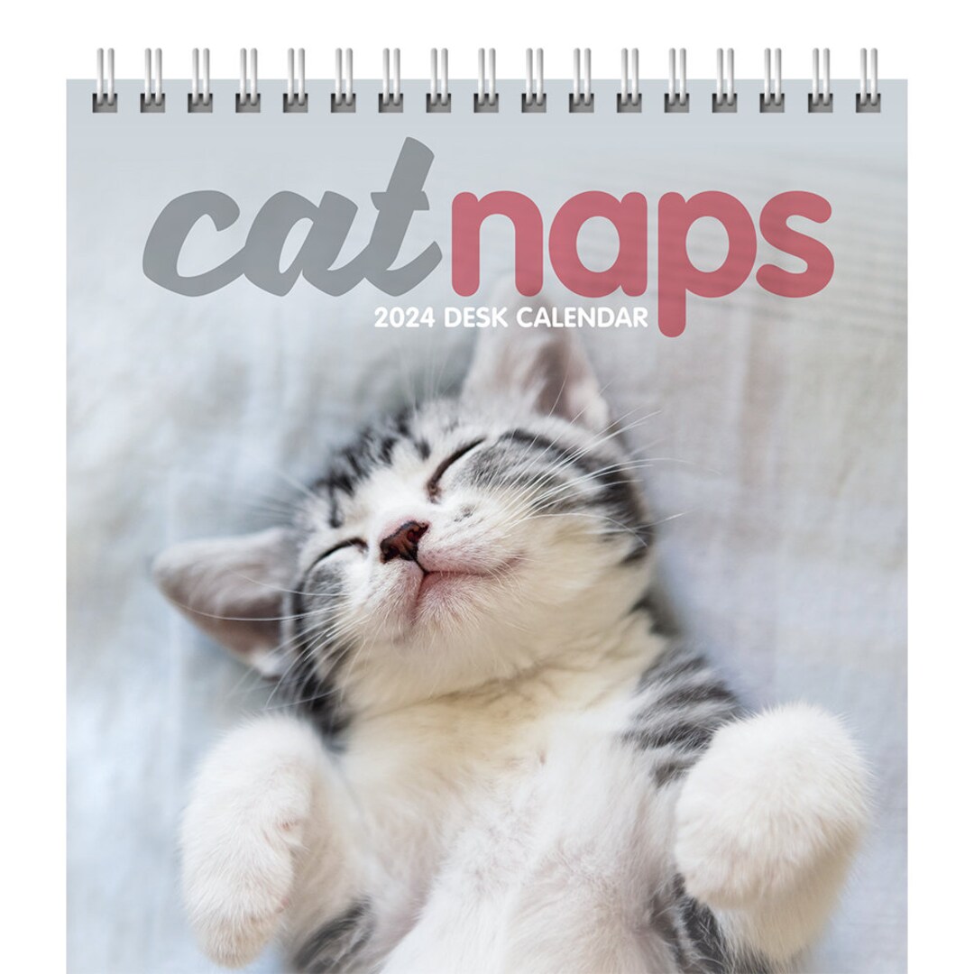 Cat Naps 2024 Desk Calendar Etsy UK