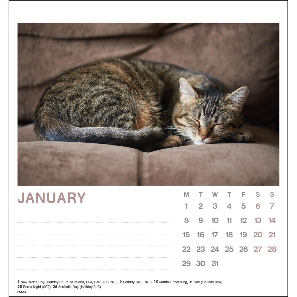 Cat Naps 2024 Desk Calendar Etsy UK
