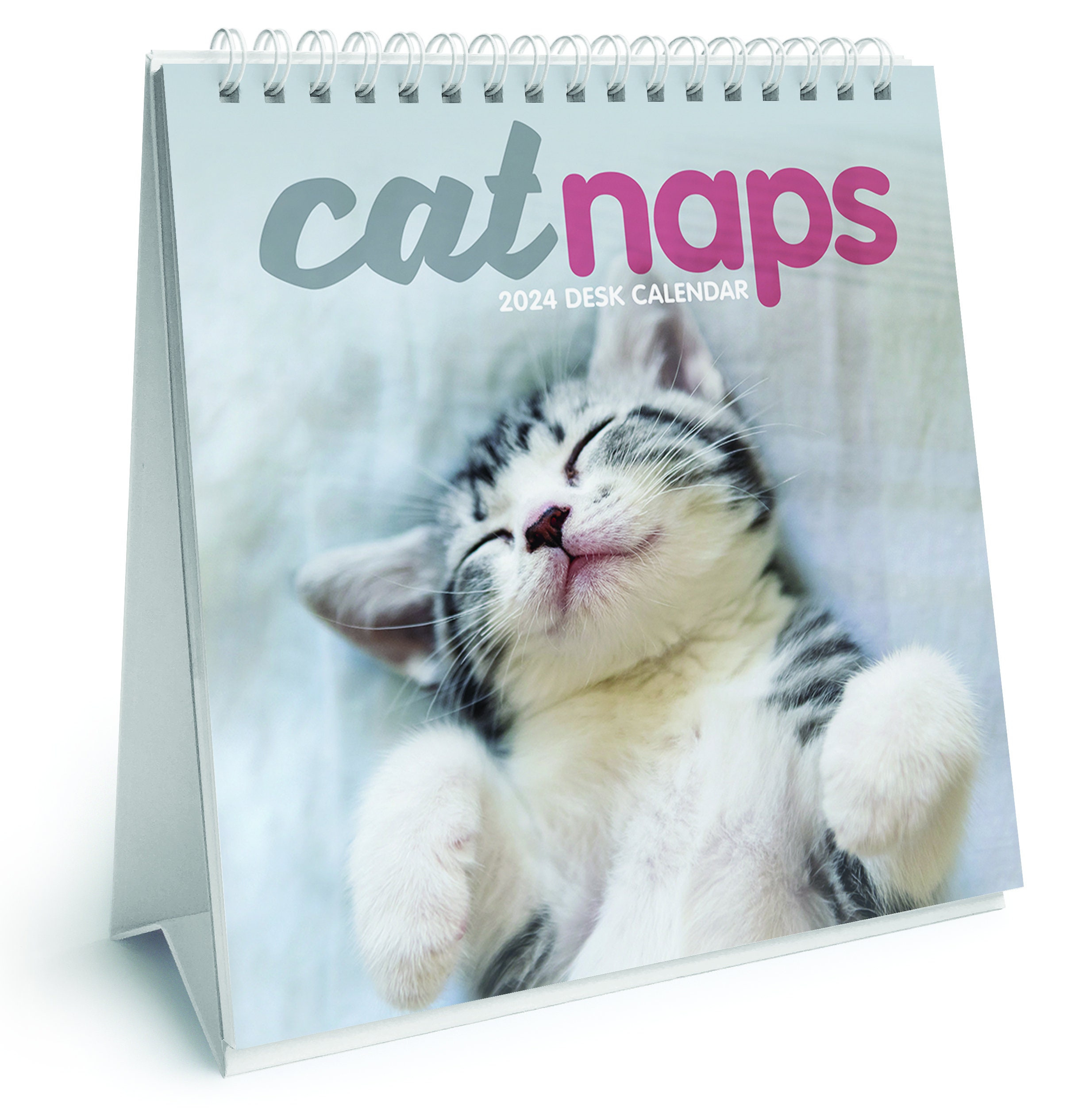 Cat Naps 2024 Desk Calendar Etsy UK