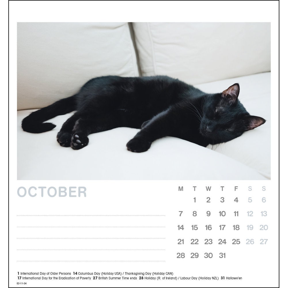 Cat Naps 2024 Desk Calendar Etsy UK