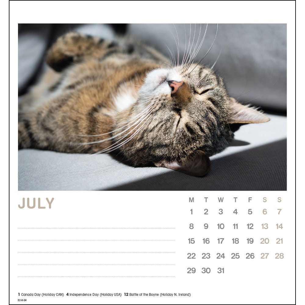 Cat Naps 2024 Desk Calendar Etsy UK