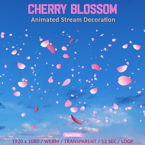 Animated full screen Twitch overlays falling cherry blossom petals, stream decoration, streaming add-on, asset for Vtubers and streamers, WEBM, loop