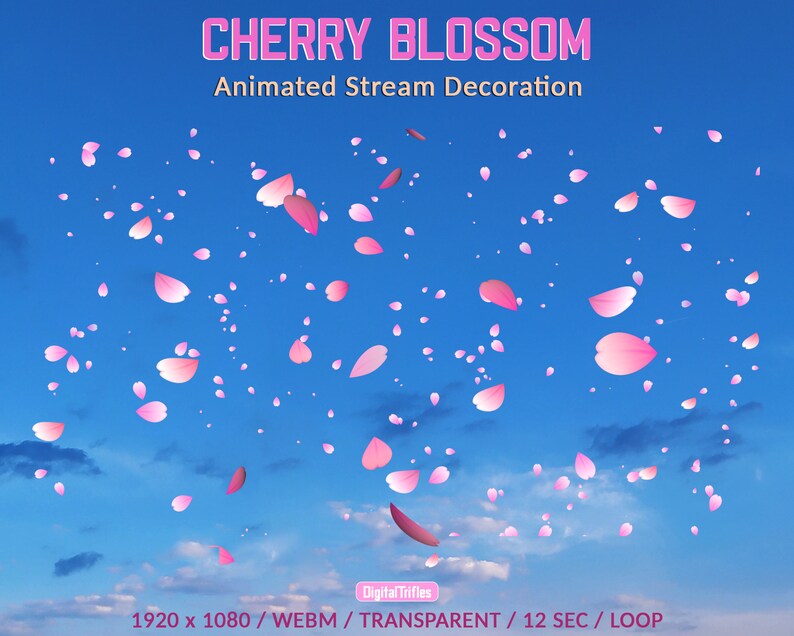 Animated full screen Twitch overlays falling cherry blossom petals, stream decoration, streaming add-on, asset for Vtubers and streamers, WEBM, loop
