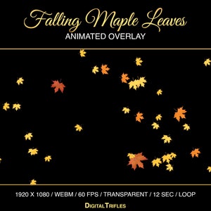 Streamers Fall Gif Falling Maple Leaves, Animated Twitch Overlay, Fall Vtuber Background ...