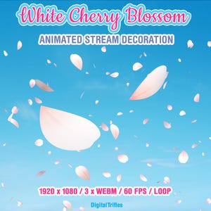 Pode incluir: Decoração de fluxo animada com pétalas de flores de cerejeira brancas e rosas contra um fundo de céu azul. O texto "White Cherry Blossom" e "Animated Stream Decoration" são exibidos no topo. A resolução da imagem é 1920 x 1080.