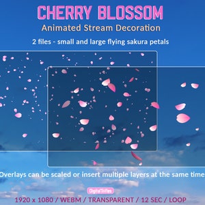 Animated full screen Twitch overlays falling cherry blossom petals, stream decoration, streaming add-on, asset for Vtubers and streamers, WEBM, loop