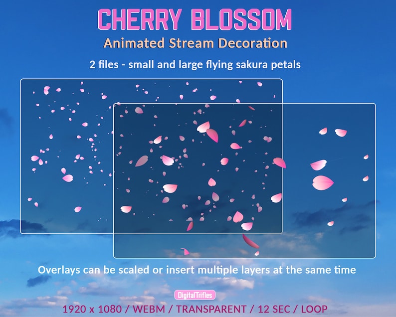 Animated full screen Twitch overlays falling cherry blossom petals, stream decoration, streaming add-on, asset for Vtubers and streamers, WEBM, loop