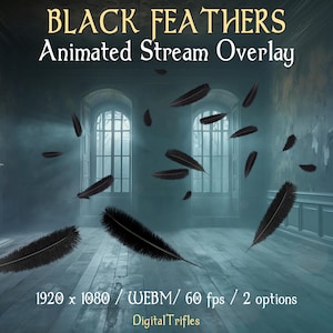 Op de afbeelding: Geanimeerde zwarte veren die vallen in een mistige kamer met twee ramen. De tekst "BLACK FEATHERS Animated Stream Overlay" staat bovenaan de afbeelding. De tekst "1920 x 1080 / WEBM / 60 fps / 2 options" staat onderaan de afbeelding. De tekst "Digital Trifles" staat onderaan de afbeelding.