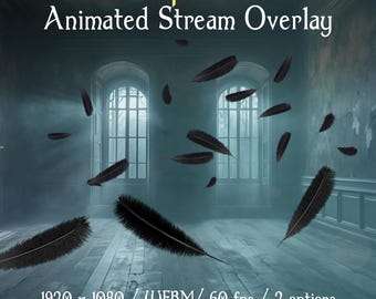 May include: Animated black feathers falling in a misty room with two windows. The text "BLACK FEATHERS Animated Stream Overlay" is at the top of the image. The text "1920 x 1080 / WEBM / 60 fps / 2 options" is at the bottom of the image. The text "Digital Trifles" is at the bottom of the image.