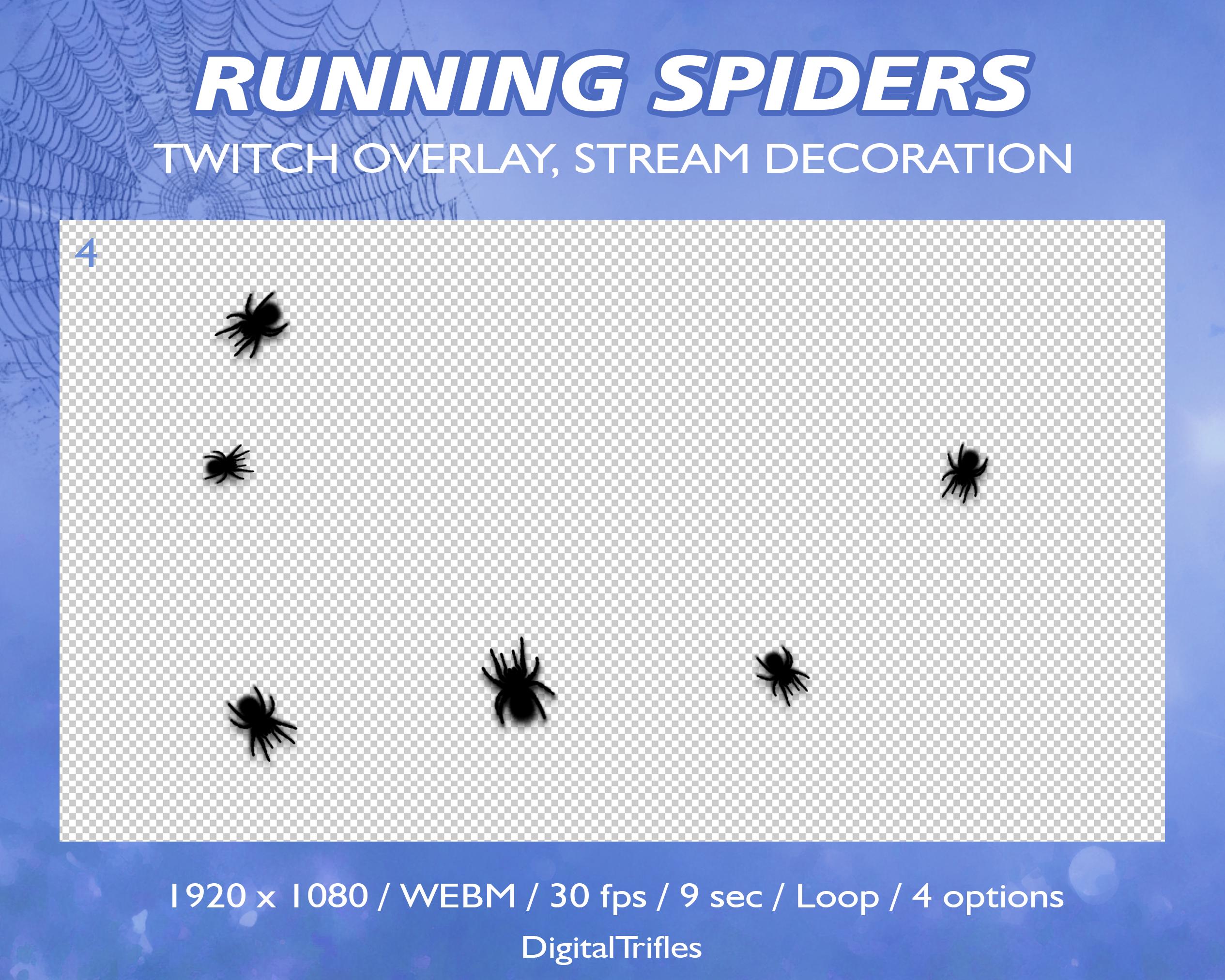 Running Spiders, Animated Twitch Overlays, Halloween Stream Assets ...