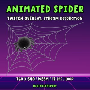 May include: A fuzzy black spider with large white eyes sits on a gray spiderweb graphic. The text reads ANIMATED SPIDER, TWITCH OVERLAY, STREAM DECORATION, 760 X 540 / WEBM / 12 sec / LOOP, and DigitalTRifles on a purple background.