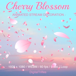 Sakura Stream Decorations, Cherry Blossom Animated Twitch Overlay, Pink Petals Falling with Transparent Background, Full Screen, Loop