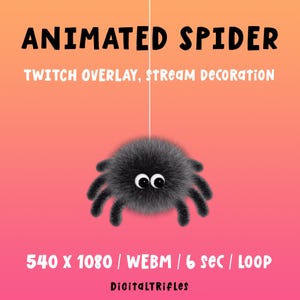 Animerad spindel, läskig och rolig Twitch-överlägg, loopstreamdekoration för VTuber och Streamer