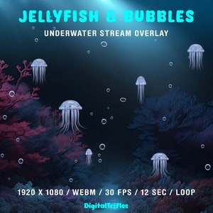 Animated Stream Overlay, Jellyfish and Bubbles, Underwater Twitch Overlay, Sea Fantasy Assets for Streamers and Vtubers, Transparent, Loop