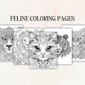 Cat Coloring Pages Printable | Adult Coloring Pages Cats | Cat Coloring Book | Adult Coloring Page | Cat Mandala Coloring Pages