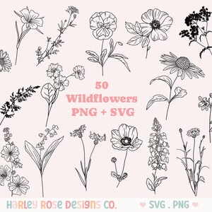 Wildflower SVG Bundle, Flower Cutting File, Flower SVG files for Cricut, Botanical svg, Floral SVG, Flower clipart, Spring svg, Daisy svg
