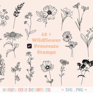 Wildflower Procreate Stamps Bundle, Floral Procreate Stamp, Flower Procreate Brushes, Floral Brushes, Commercial Use Procreate Stamp Brushes