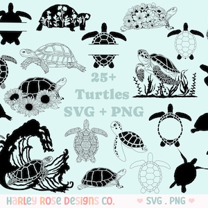 Pacote SVG de tartaruga, tartaruga com monograma svg, arquivo de corte, tartaruga marinha SVG Cricut, tartaruga com girassol svg, tartaruga marinha com uma onda svg, PNG