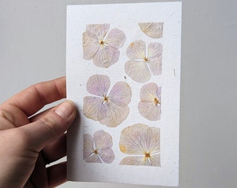 Carte de vœux fleurs naturelle d'hortensia pressées , papier recyclé et enveloppe