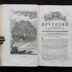 1789 Antik ornitologibok - Buffons naturhistoria om fåglar - Påfågel, fasan, duva - Zoologi, vetenskap