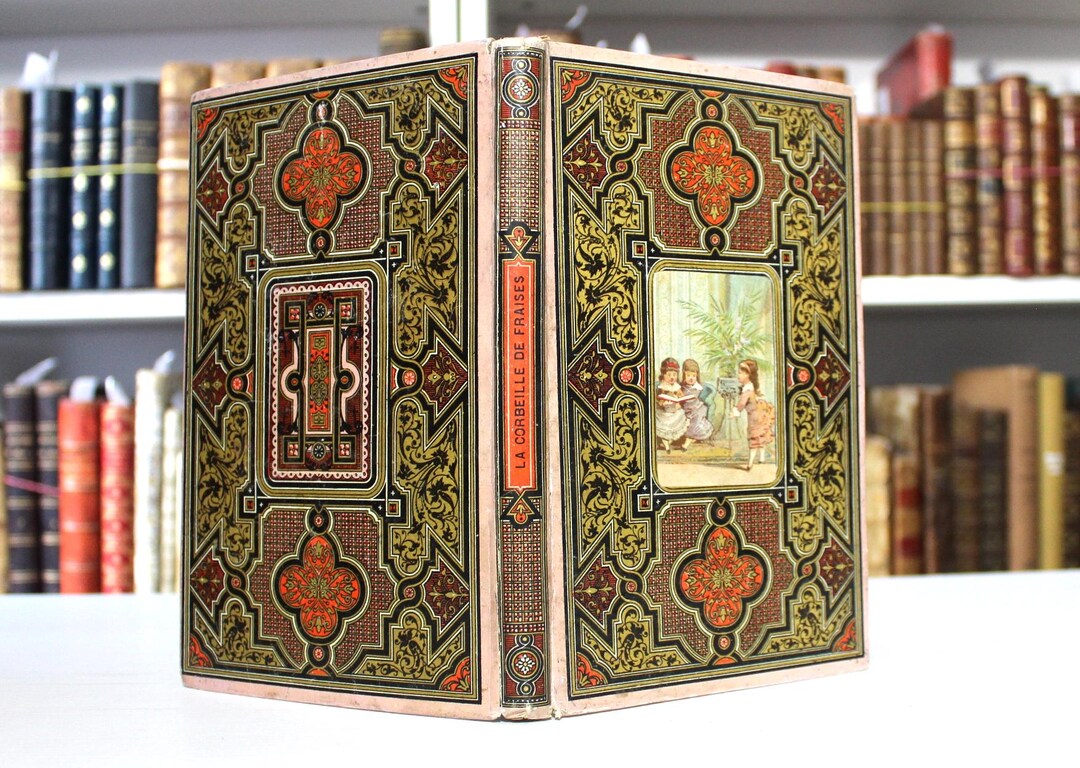 Antique 19th Century French Book | Decorative Leather