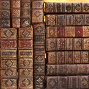 Libro antiquario francese del XVII secolo: rilegatura in pelle decorativa