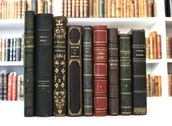 Vintage French Leather Bound Book: 1800s-1900s Decorative