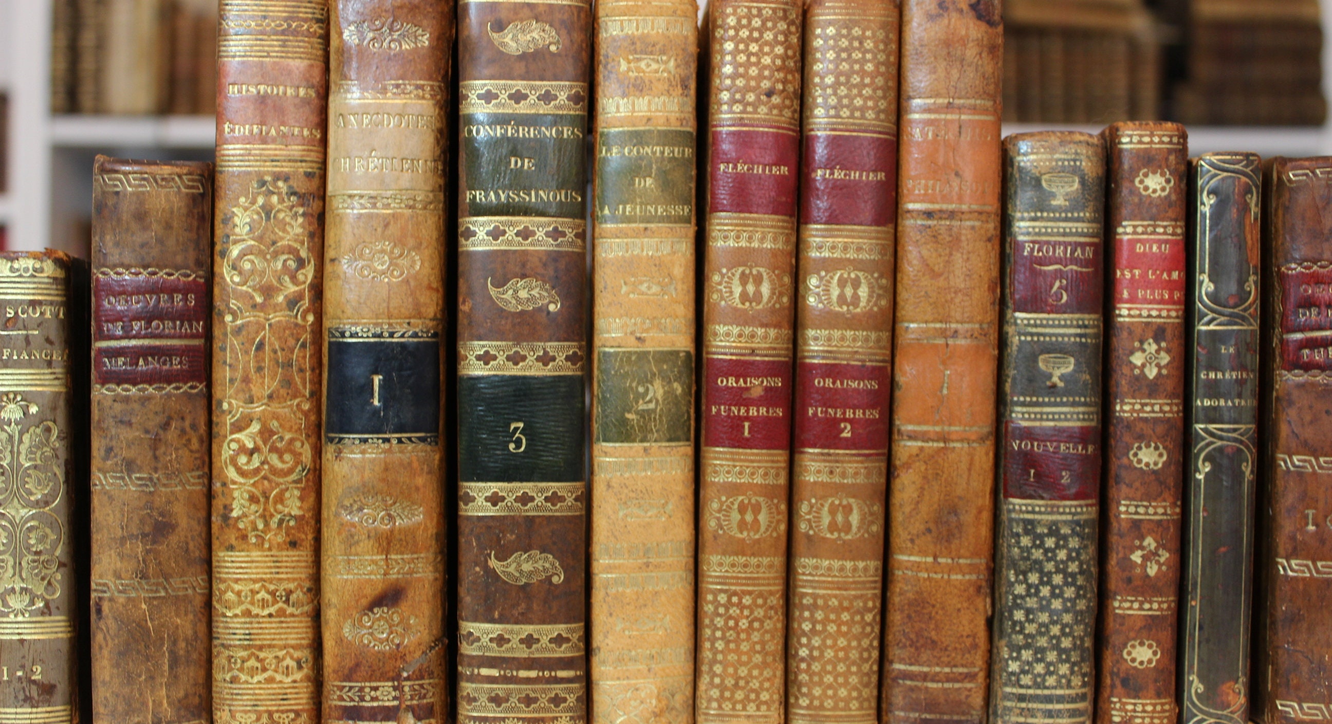 1800s French Antiquarian Book: Decorative Leather Binding, Gilt