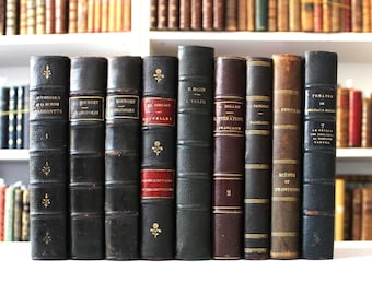 Juego de libros antiguos franceses encuadernados en cuero: Decoración de estantería Dark Academia