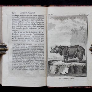 Può includere: Un libro antico aperto con pagine di carta ingiallita che presenta testo in francese a sinistra e un'illustrazione incisa in bianco e nero di un rinoceronte a destra. L'intestazione recita Histoire Naturelle e la didascalia è LE RHINOCEROS.