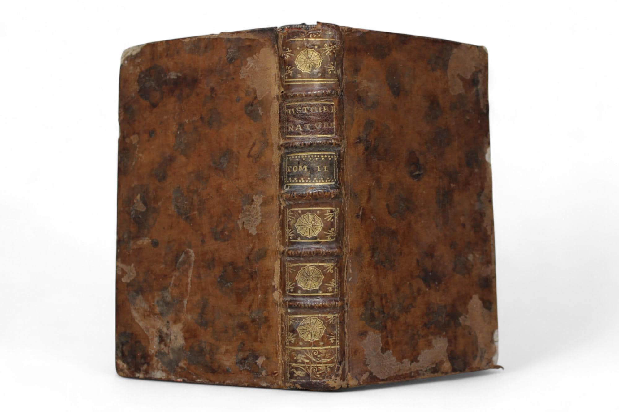 エンサイクロペディア　オブ　アーキテクチャ　皮装丁　アンティーク　洋書　古書 アンティーク 古書 洋書 本 31788 — euro-market.jp