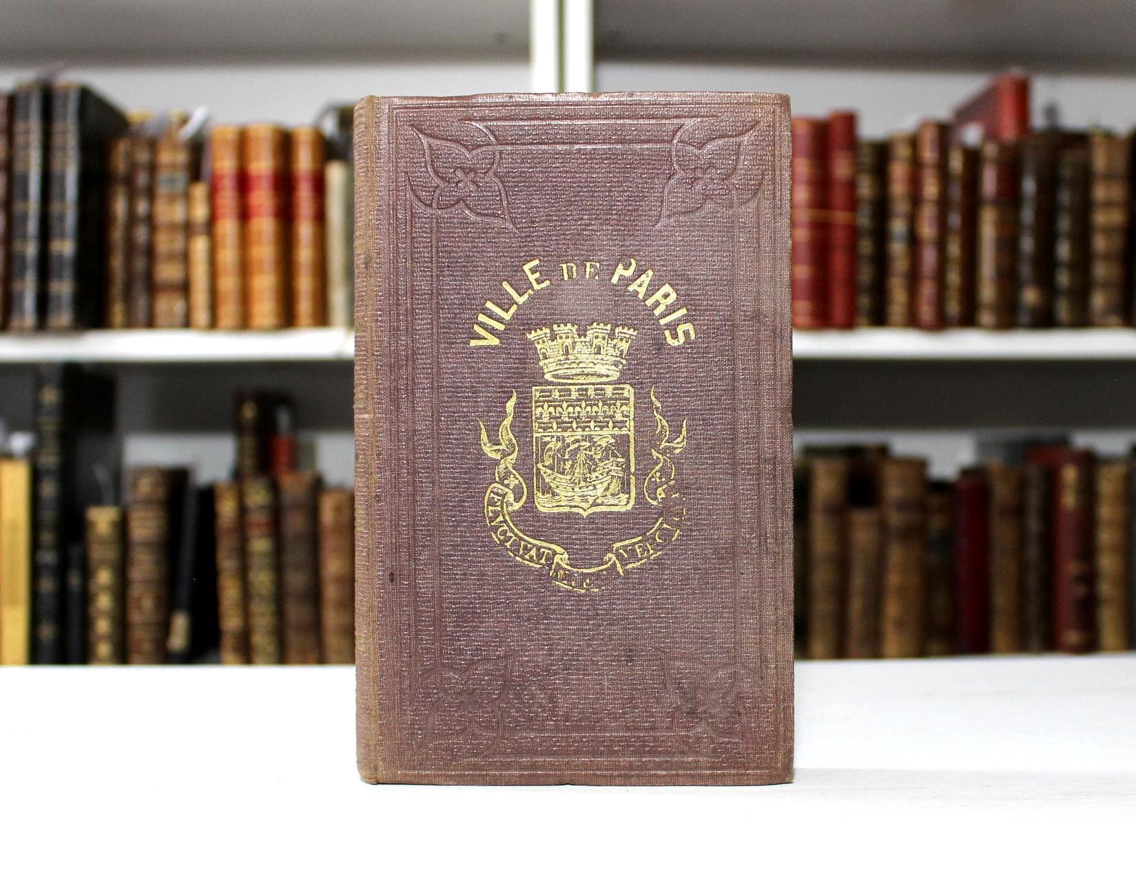 1866 History of French Literature Middle Ages Renaissance Modern Era French Classics Poetry and Prose Paris France Cloth Binding