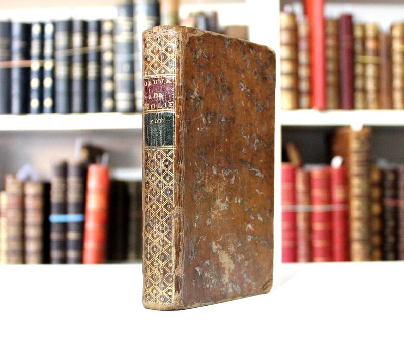 K&ouml;nnte beinhalten: Ein altes Buch mit einem abgenutzten, braunen Ledereinband. Der Buchr&uuml;cken hat goldene geometrische Muster und Text in Rot, Schwarz und Gold. Das Buch steht aufrecht, mit anderen alten B&uuml;chern auf Regalen im Hintergrund.