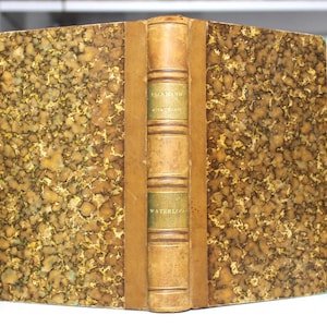 1865 Waterloo by Erckmann-Chatrian – Rare Vintage Edition, Napoleonic Wars Aftermath, French Literature, Leather Binding, Paris, Hetzel