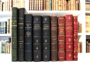 Libro antiguo de cuero francés: encuadernación decorativa del siglo XIX, literatura francesa