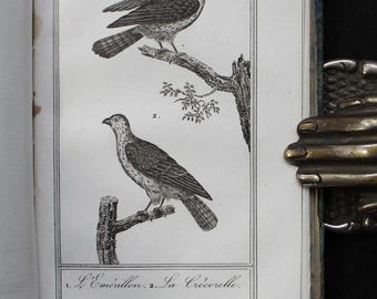 1830 Ornithology Natural History of Birds Illustrated with 26 Engraved Plates Wildlife Animals Buffon Zoology Antique Science Book 1800s