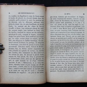 Émile Zola - Le Rêve - Chapitre 6 | Addict Culture