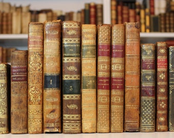 1800s Antiquarian Book from the 18th Century (1800-1850) Decorative Leather Binding Price per Single Book French Antique Book Shelf Decor