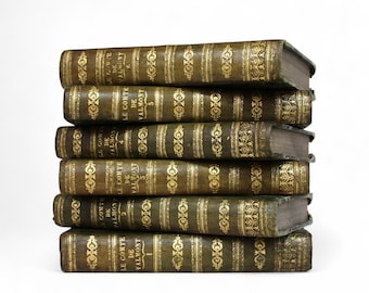 アンティークフランスの書籍 | 19世紀の革装丁、金箔張りの背表紙