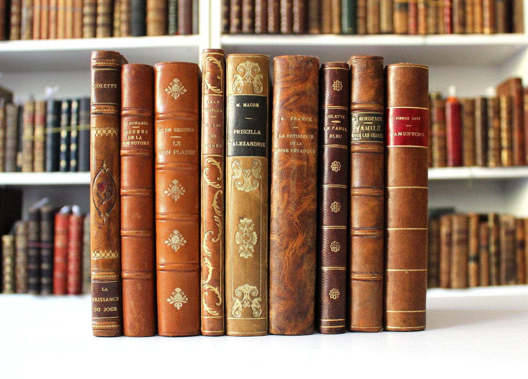 1900s French Vintage Books Decorative Leather Bindings Literature Colette Pierre Loti Anatole France Jean Rostand Bookshelf Decor Paris