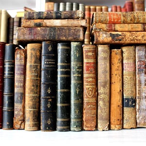 Può includere: Una collezione di libri antichi con copertina rigida e dorsi in pelle usurata nei toni del marrone, nero, rosso e verde. I libri presentano scritte dorate e motivi decorativi, disposti in una fila verticale con volumi impilati.