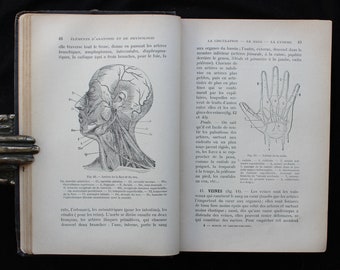 1924 RARE Medicine Book Manual for Hospital Staff & Caregivers Illustrated with 234 Engravings Anatomy Diseases Hygiene Surgery Pharmacy