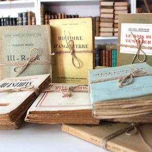 Puede incluir: Una colecci&oacute;n de libros antiguos de tapa dura con cubiertas de papel marr&oacute;n y cuerdas atadas alrededor. Los libros tienen t&iacute;tulos franceses, incluyendo "Histoire d'Angleterre" y "Le Bois du Temmer".