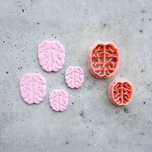 May include: Pink brain-shaped cookie cutters in various sizes are arranged on a gray surface. The cutters are made of plastic and are designed to cut out brain shapes from dough or fondant. The image is a top-down view.